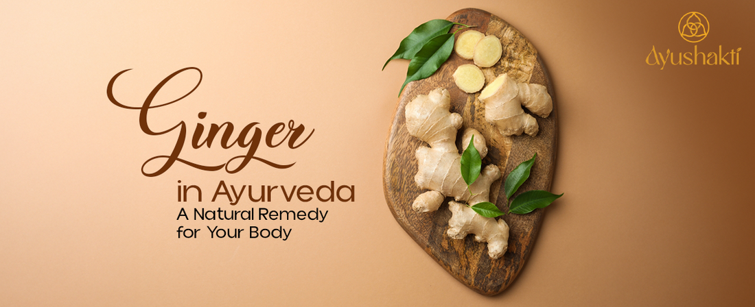 Ginger in Ayurveda: A Natural Remedy for Your Body