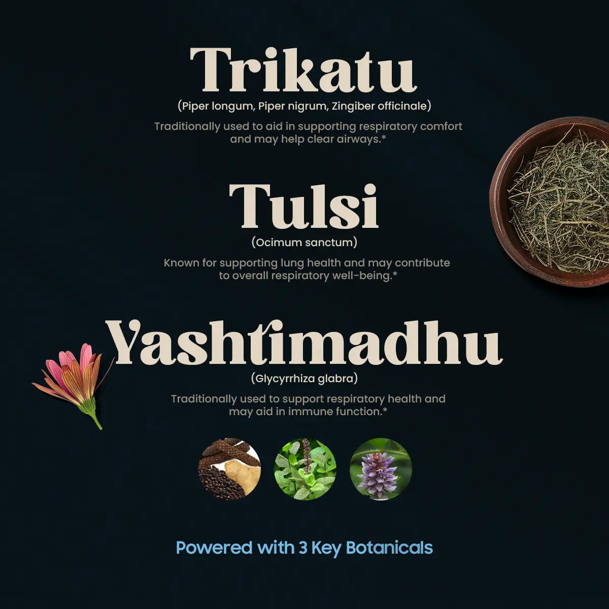 ASTHALOC (120 TABLETTEN)