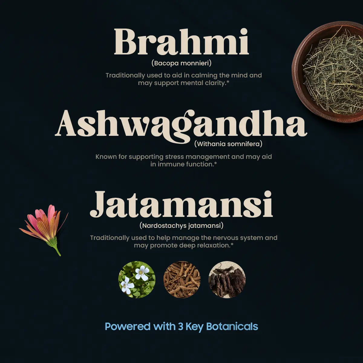 BLISS (60 TABLETTEN)