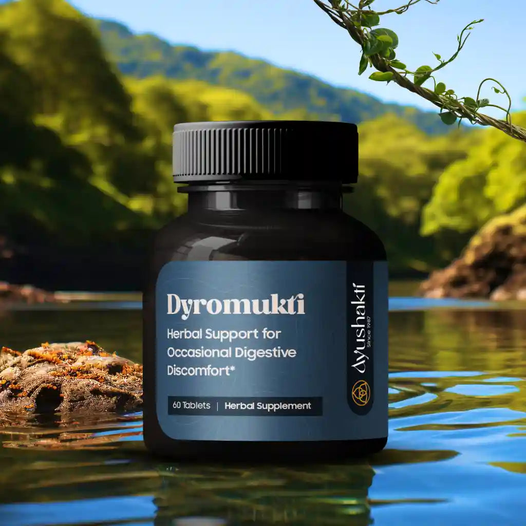 DYROMUKTI (60 TABLETTEN)