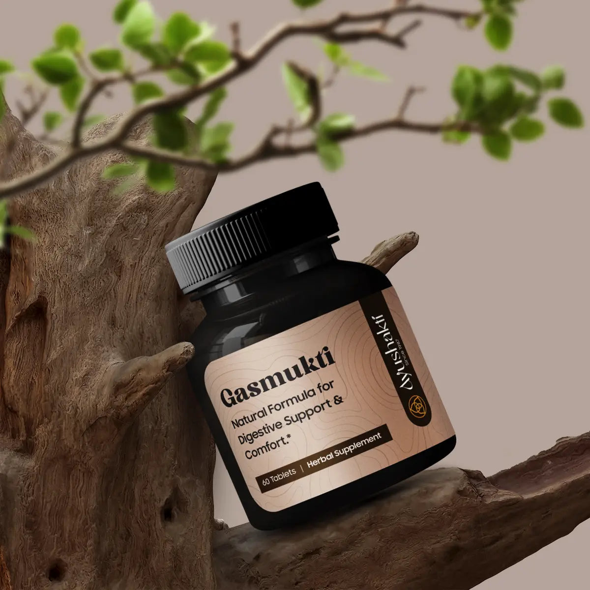 GASMUKTI (60 TABLETTEN)