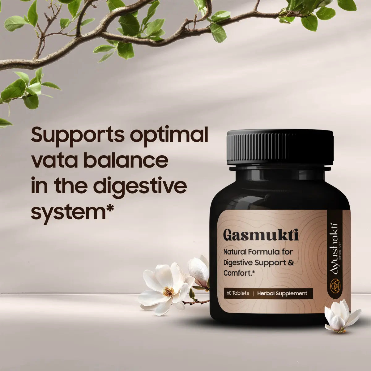 GASMUKTI (60 TABLETTEN)