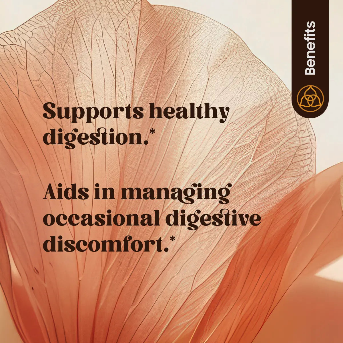 GASMUKTI (60 TABLETTEN)