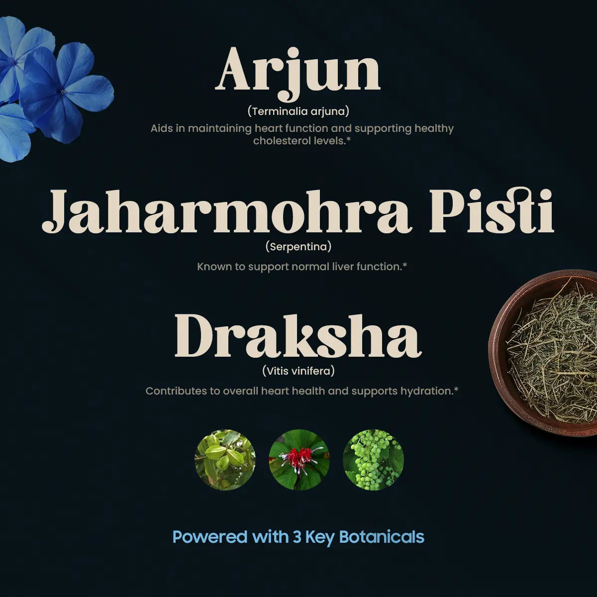 HARTONE (120 TABLETTEN)