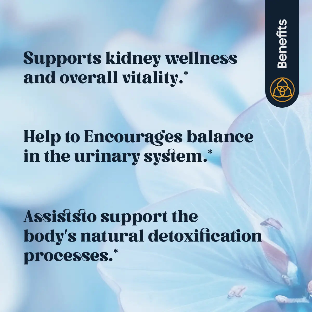 K-TONE (120 TABLETTEN)