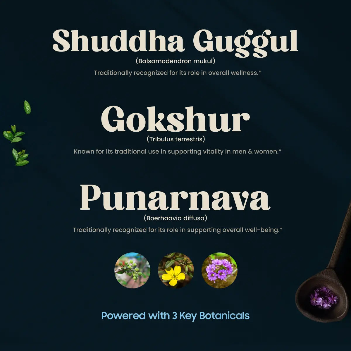 K-TONE (120 TABLETTEN)