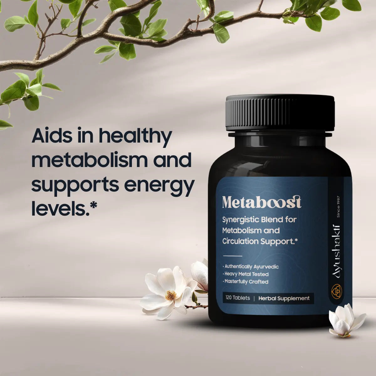 METABOOST (120 TABLETS)