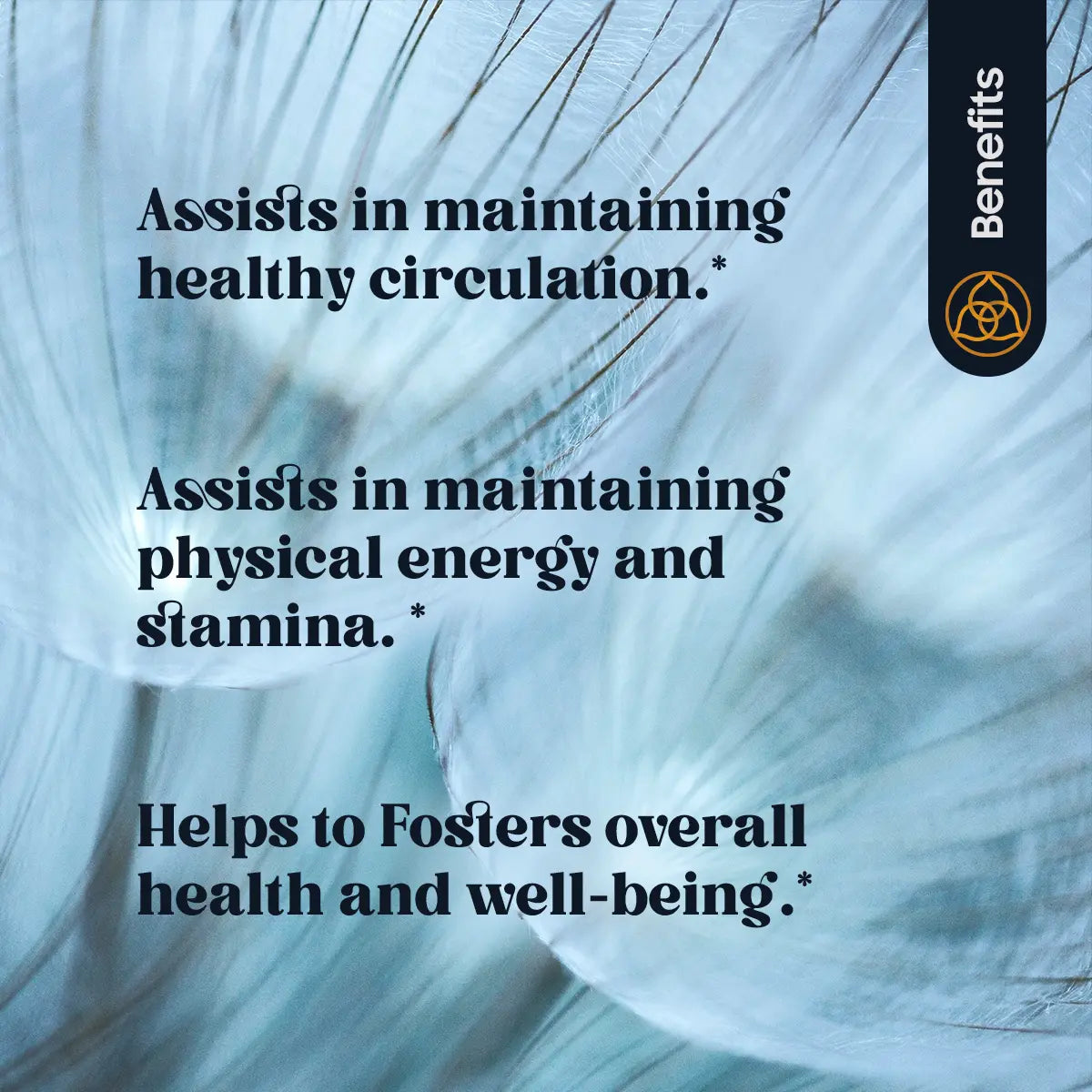 METABOOST (120 TABLETS)