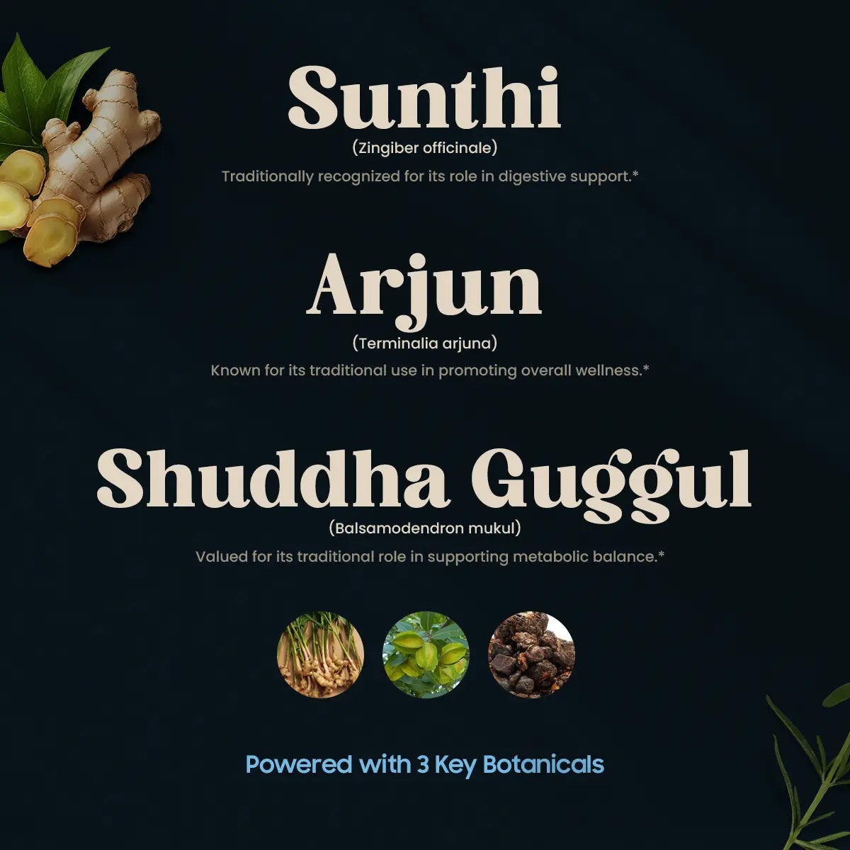 METABOOST (120 TABLETS)