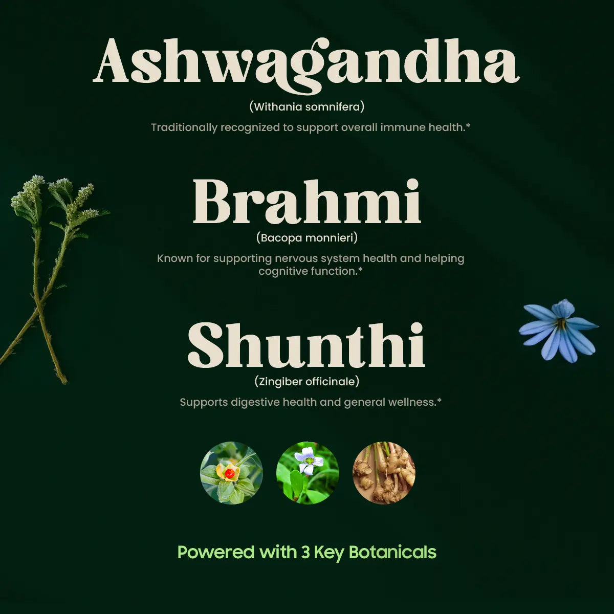 NIRAMAY (60 TABLETTEN)