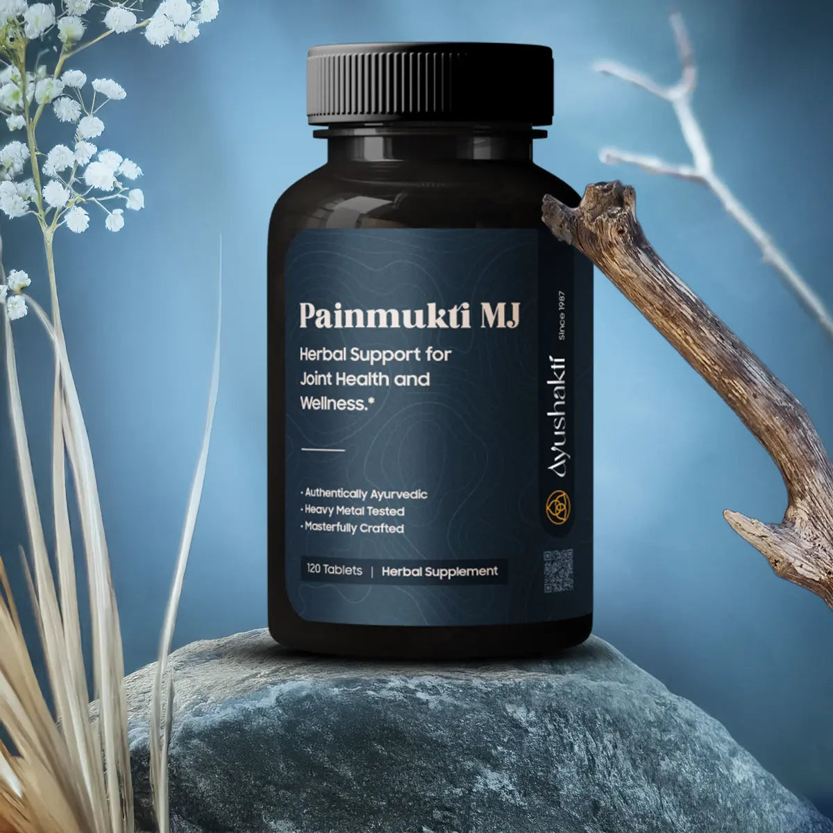 PAINMUKTI MJ (120 TABLETTEN)