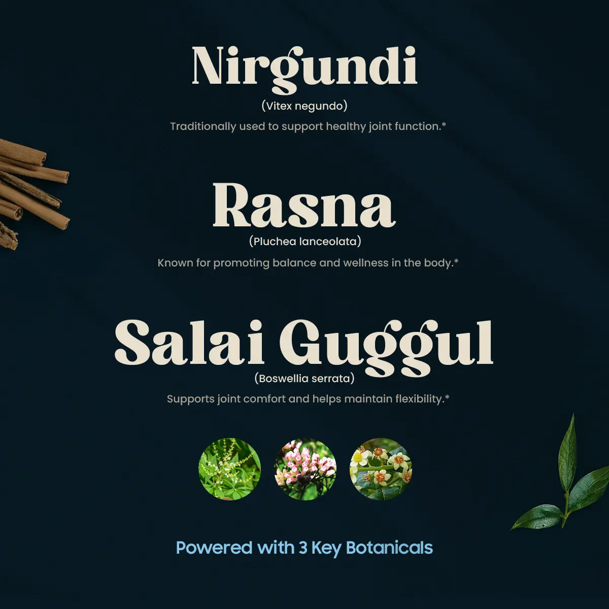 PAINMUKTI MJ (120 TABLETTEN)