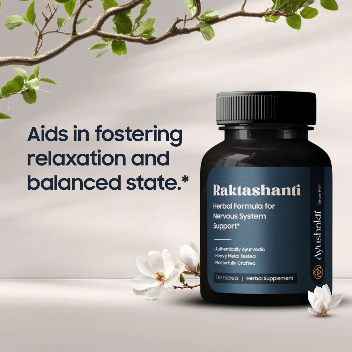 RAKTASHANTI (120 TABLETTEN)