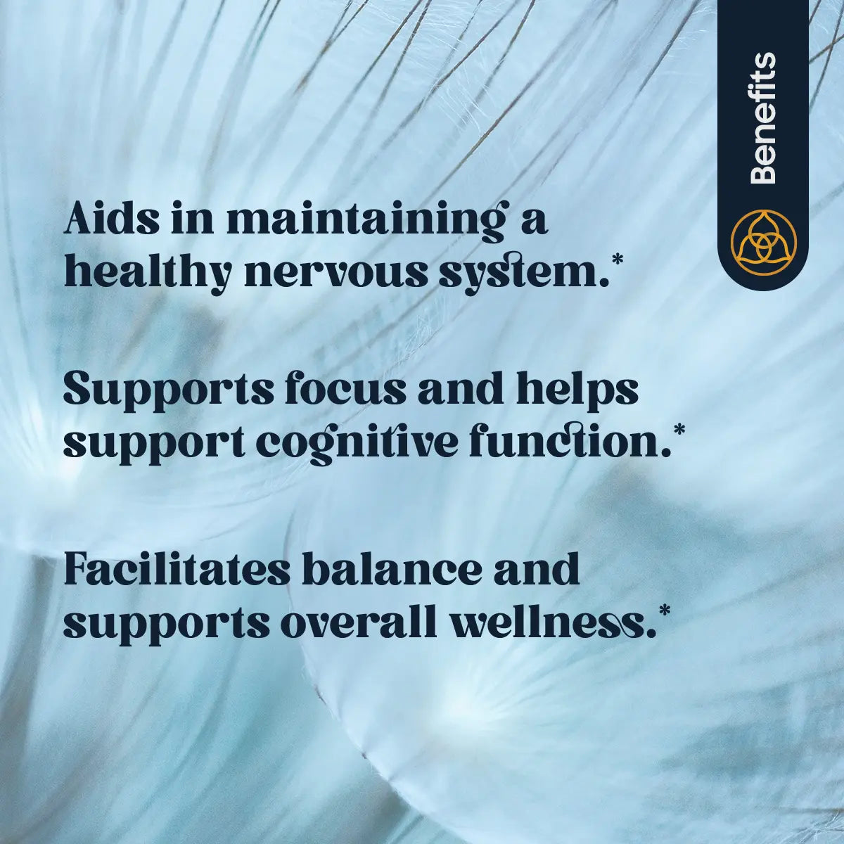 RAKTASHANTI (120 TABLETTEN)