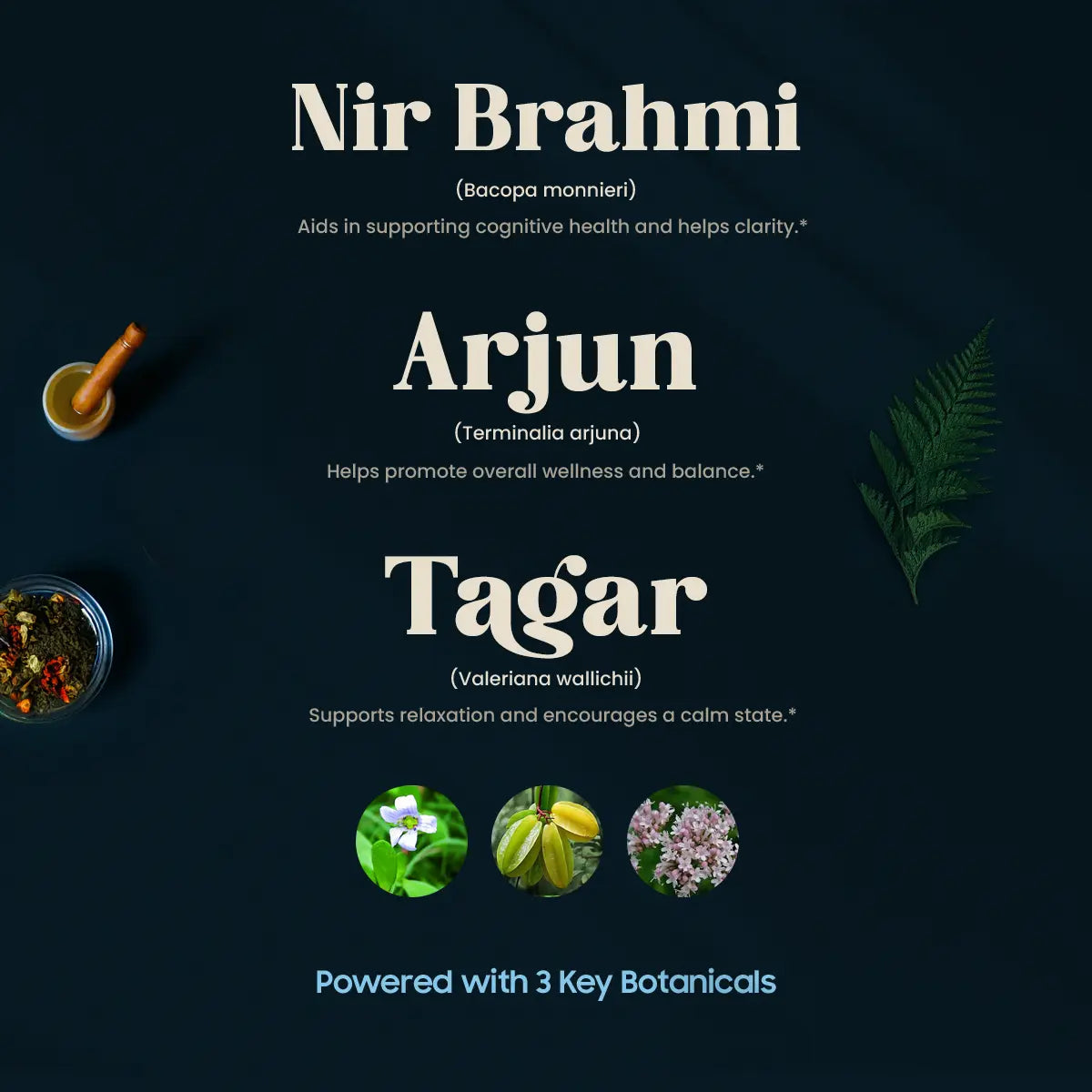 RAKTASHANTI (120 TABLETTEN)