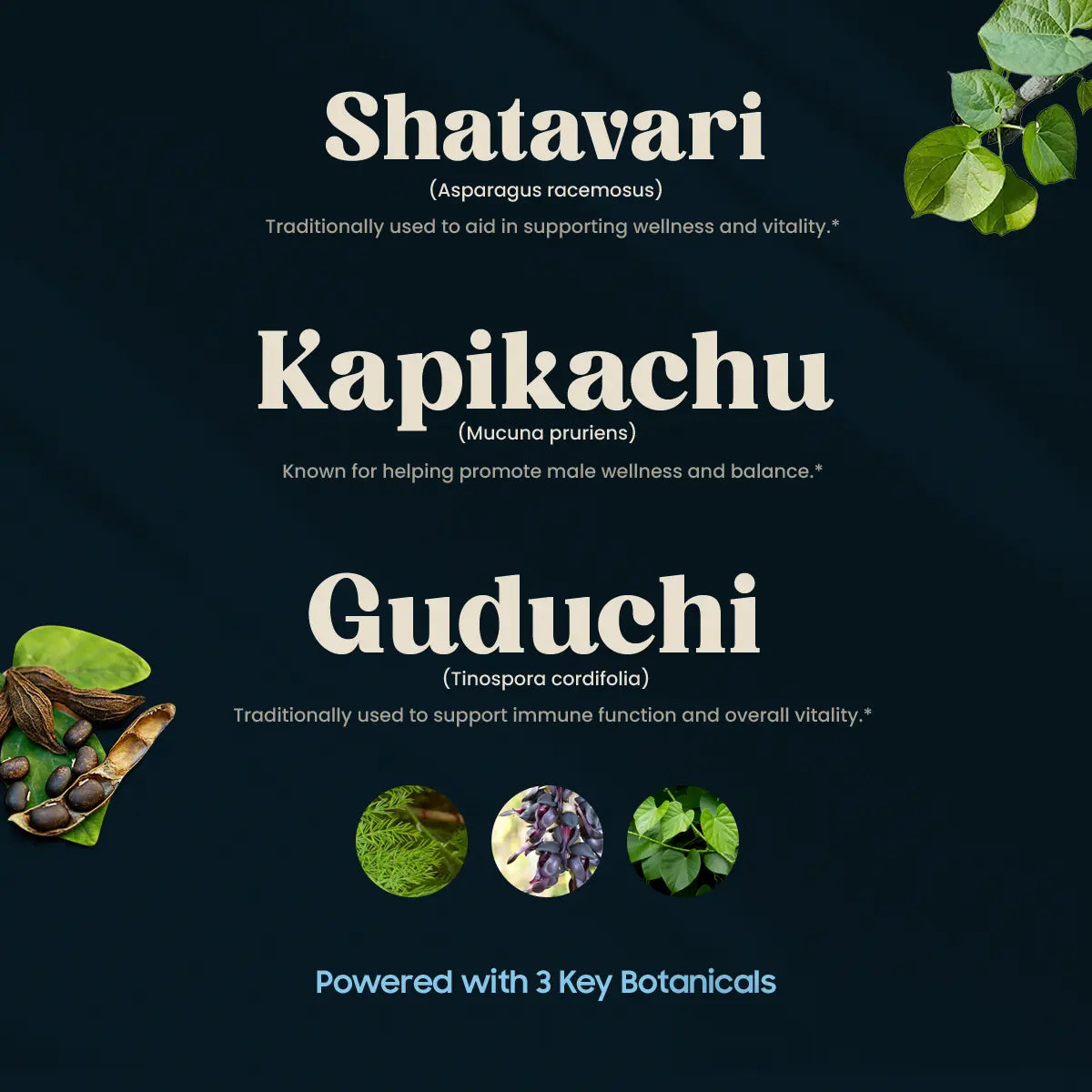 HAUTTONIKUM (120 TABLETTEN)