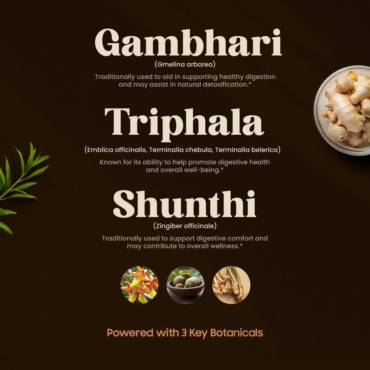 TOXIGO (60 TABLETTEN)