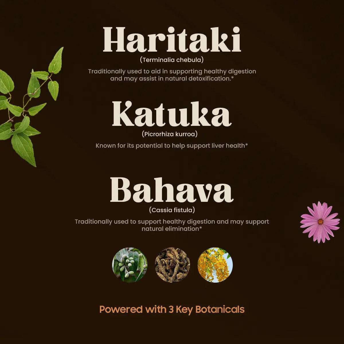 VIRECHAN (60 TABLETTEN)